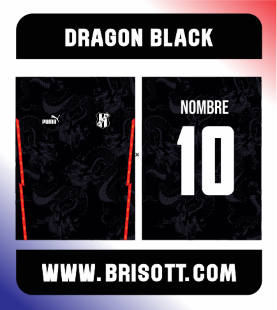 Recuadro DRAGON BLACK